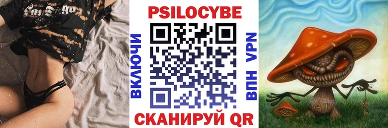ОМГ ОМГ зеркало Новозыбков Галлюциногенные грибы MAGIC MUSHROOMS
